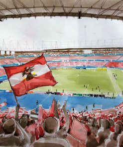 Österreich-Fans im Happelstadion
