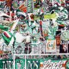 Fantribüne Rapid "away"