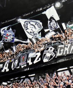 Sturm Graz Fans in Klagenfurt